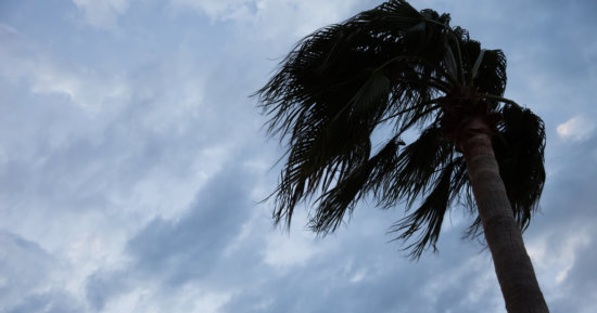 An Update from Florida Before Hurricane Irma