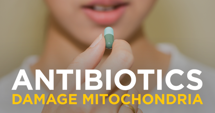 Important News About Antibiotics