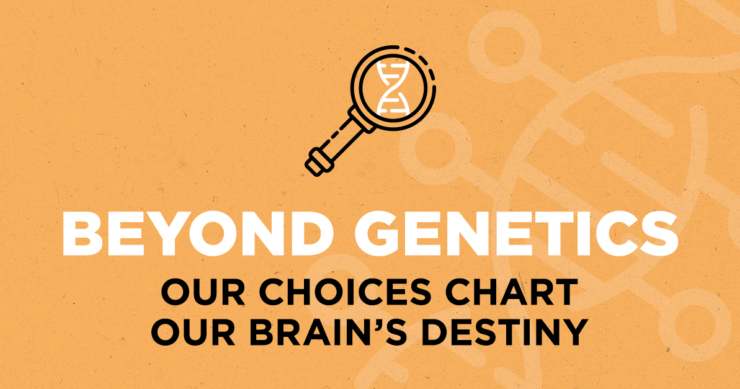 Beyond Genetics – Our Choices Chart Our Brain’s Destiny