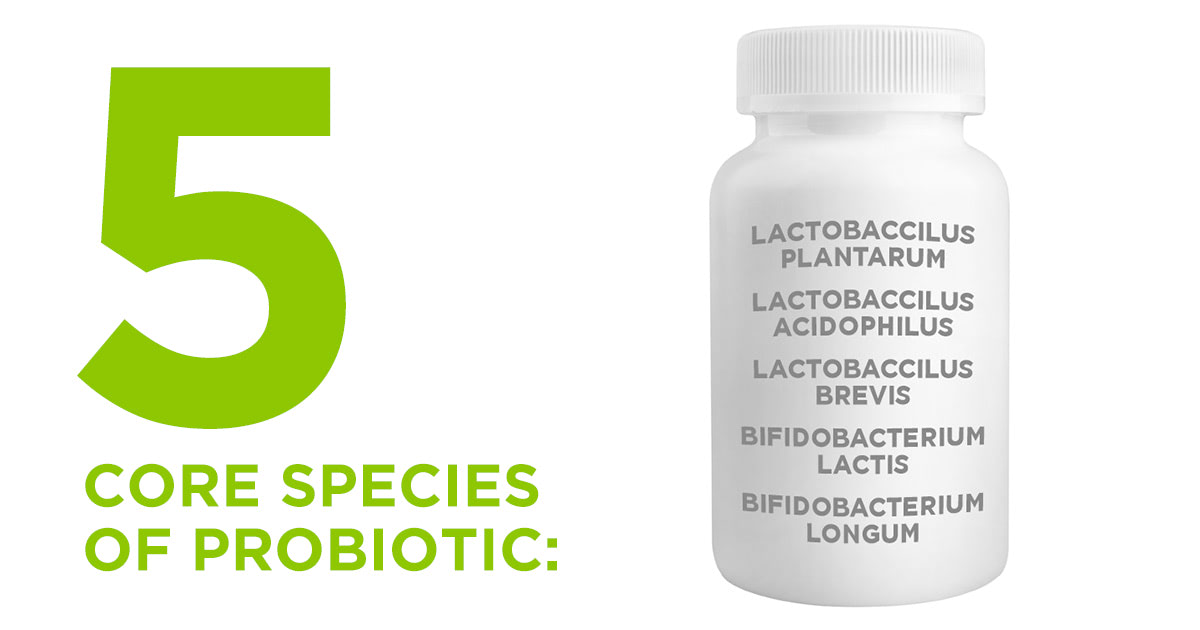 Probiotics: Five Core Species