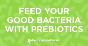 Feeding your Good Bacteria with Prebiotics