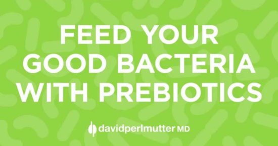 Feeding your Good Bacteria with Prebiotics