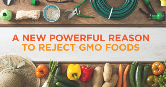 A New Powerful Reason to Reject GMO Foods