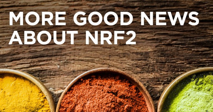 Do You Know The Power of the Nrf2 Pathway?