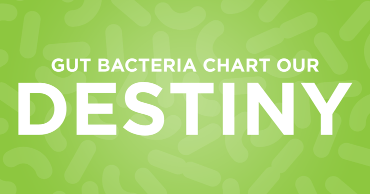 Gut Bacteria Chart Our Destiny