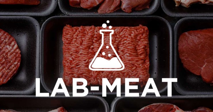 Lab-Meat. Soon in a Store Near You.
