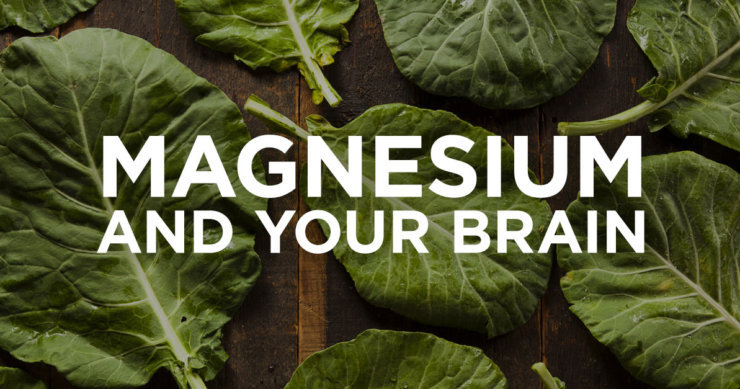 Magnesium Threonate Powers the Brain