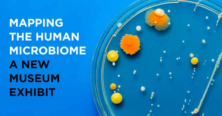 Mapping the Human Microbiome – A New Museum Exhibit