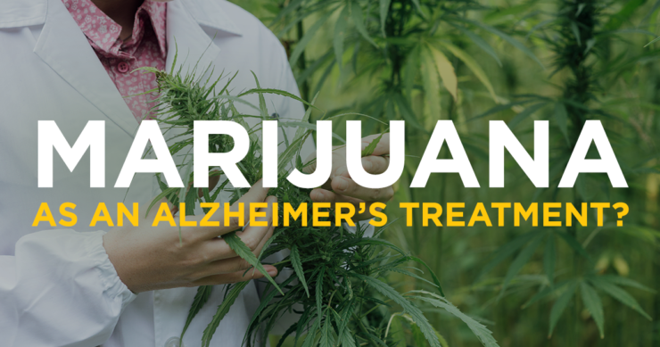 Marijuana as an Alzheimer’s Treatment?