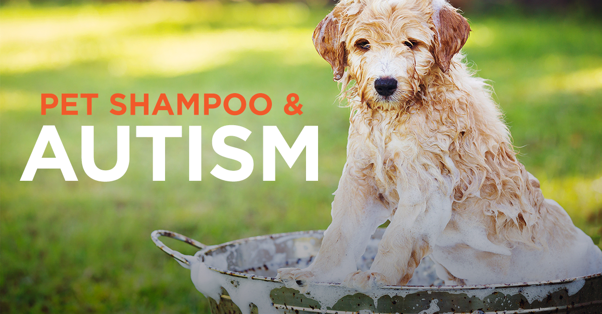 Can You Use Flea Shampoo On A Pregnant Dog