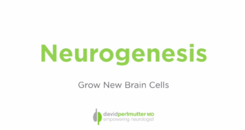 Neurogenesis – Grow New Brain Cells Through Exercise