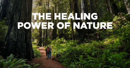 On The Healing Power of Nature