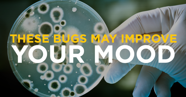 These Bugs May Improve Your Mood