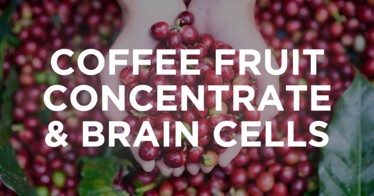 Whole Coffee Fruit Concentrate – Amping Up Growth Hormone for Brain Cells