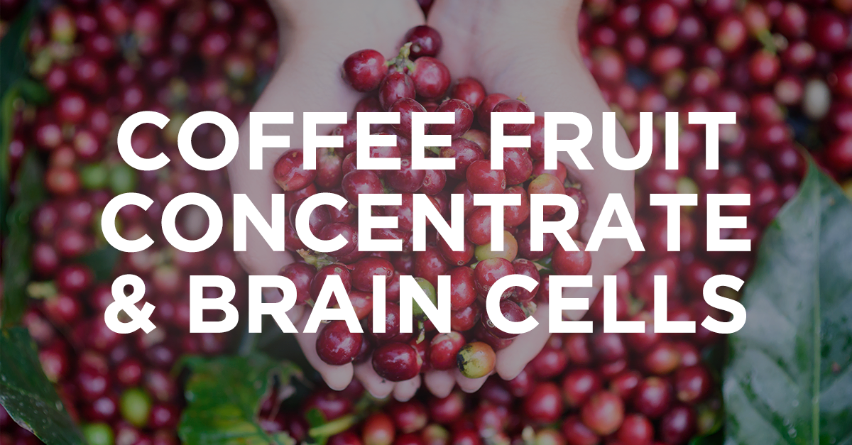 Whole Coffee Fruit Concentrate Amping Up Growth Hormone for Brain