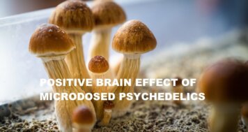 Positive Brain Effects of Microdosed Psychedelics