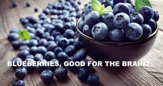 Blueberries, Good for the Brain?